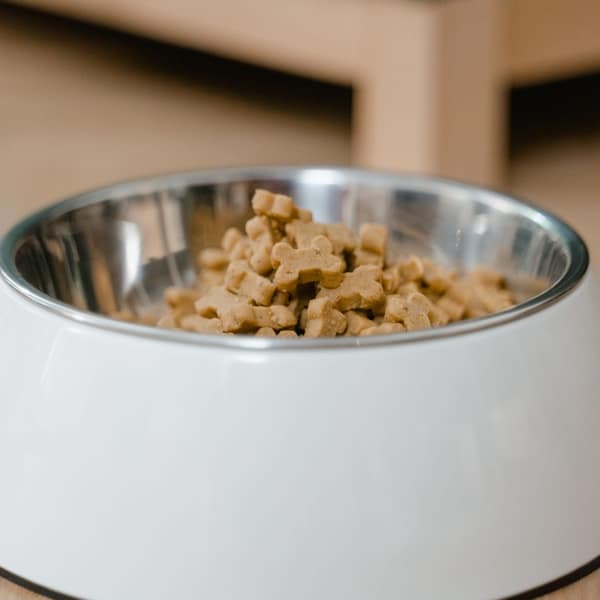 A full bowl of dog food on a wooden floor